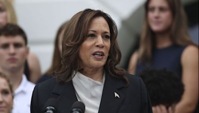 In her 1st presidential campaign rally, Harris says building middle class to be her 'defining goal'