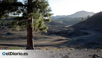 Gran Canaria se prepara para combatir incendios tras un año seco y con el paisaje en mosaico