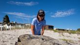 Large rubber bale likely from German World War II ship washed ashore in Indialantic