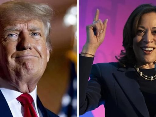 Kamala Harris gives 'delicious dose of trolling' to Trump as he mocks US VP with new nickname