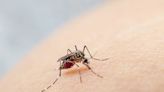 El mapa del dengue: ya se notificaron más de 200.000 casos en el país