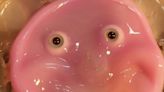 Scientists in Japan Give Robots a Fleshy Face and a Smile