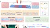 Researchers develop minimally invasive scaffold delivery system using dynamic thermoset polyurethane