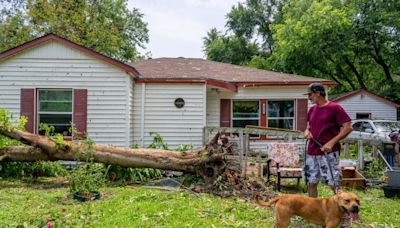 Daily Briefing: Storms, fire and sharks