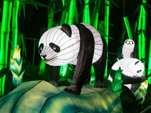 Tianfu Kungfu: así es el nuevo festival de luces chinas en Santiago