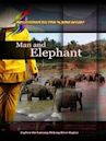 Man and Elephant