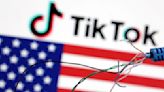 TikTok正式提出訴訟 要求阻止美國的禁用法案