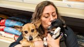 North Jersey animal shelters facing severe overcrowding due to inflation