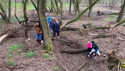 Hundreds of young trees vandalized at Kissena Park in Flushing, Queens: NYPD