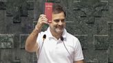 Rahul Gandhi To Be Leader Of Opposition In Lok Sabha