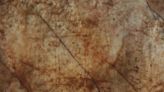 Ancient Greek Graffiti Appears to Show Lost Temple Predating Parthenon