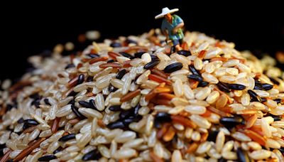 NEDA open to adjusting rice tariffs before 2028 - BusinessWorld Online