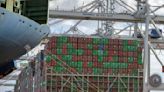 Port of Savannah reports 22% growth in containers