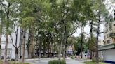 桃園「環保行政園區」 打造低碳綠能親民友善的洽公空間