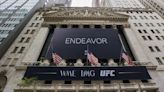 Endeavor Beats Idea Theft Lawsuit Over IPO Marketing