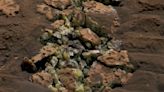 El rover Curiosity de la NASA hace su hallazgo "más inesperado" en Marte