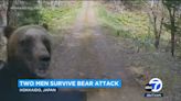 Mama bear attacks truck near her cub on wooded road in Japan