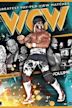 WCW Greatest Pay-Per-View Matches, Volume 1