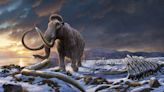 The Last Stand of the Woolly Mammoths