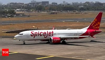 SpiceJet crew and passengers unite to assist distressed elderly lady after she defecated on flight