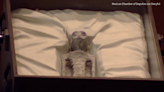 Ufologist displays ‘alien corpses’ during Mexico’s UFO hearings, scientists call fraud