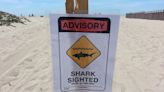 Orange County beach closed, later reopened due to shark sighting