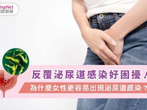 反覆泌尿道感染好困擾！為什麼女性更容易出現泌尿道感染？