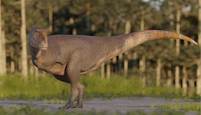 Hallan en la Patagonia argentina una nueva especie de dinosaurio carnívoro que vivió hace 69 millones de años