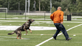 Chattanooga K9s perform well in regional trials