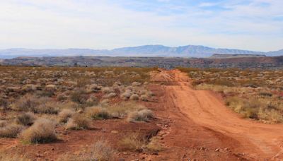 Tribune editorial: Make use of the latest chance to weigh in on planned highway through Red Cliffs National Conservation Area