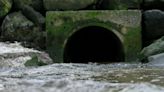 Untreated sewage: Some 20m tonnes spilled every year