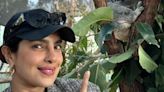 Priyanka Chopra says ‘are you serious?’ on learning 8-month-old koala in Australia is named after her. Watch