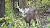 ODNR offers special deer hunts