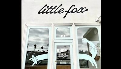 Oceanside's Little Fox Ice Cream shop goes Hollywood