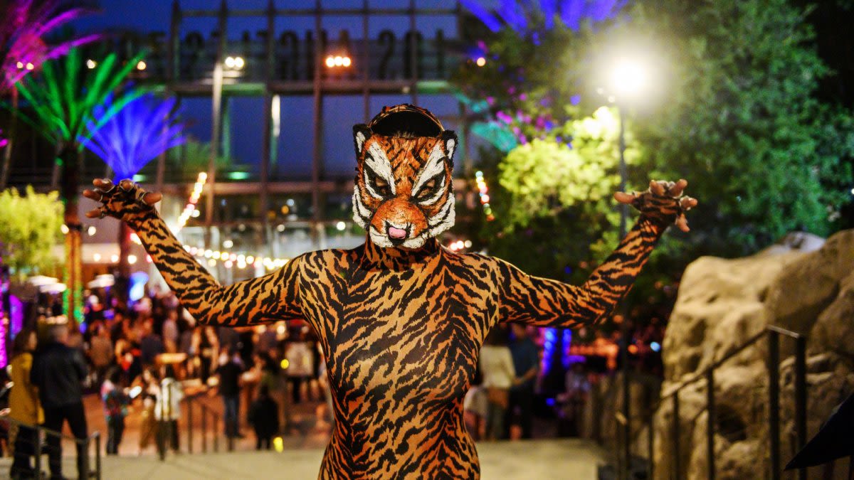 LA Zoo's conservation-boosting ‘Beastly Ball' boasts a roar-worthy online auction