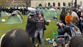 47 Yale University students arrested during pro-Palestinian protest