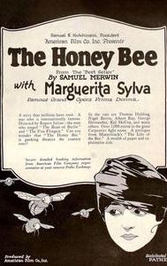 The Honey Bee