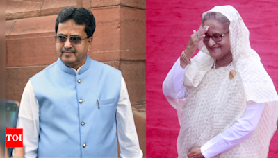 Tripura CM Manik Saha sends 'queen variety' pineapples to Bangladesh PM Sheikh Hasina | India News - Times of India