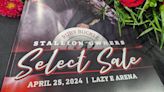 Top Stallion Brings $100K at Ruby Buckle Select Sale