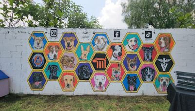 Centro de Transferencia Canina del Metro conmemora Día del Perro