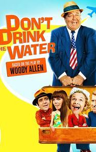 Don't Drink the Water (1994 film)