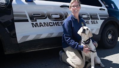 Daisy reports for duty, makes splash in Manchester-by-Sea