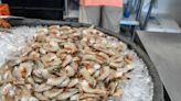 SC shrimp season fully opened but fewer local shrimpers are on the waters. Here’s why