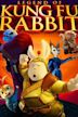 Legend of Kung Fu Rabbit