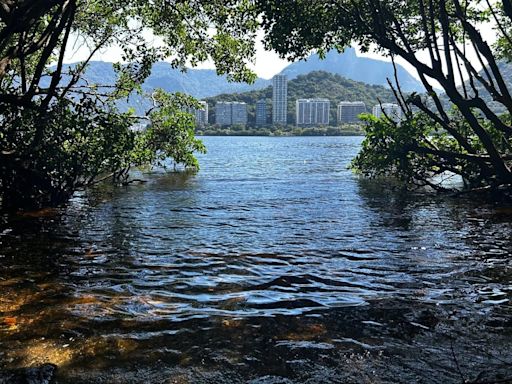 Mais de 100 mil litros de esgoto deixam de desaguar diariamente na Lagoa Rodrigo de Freitas