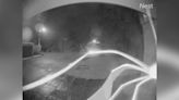 ‘Like an alien’: Spider activates Ring doorbell camera in middle of night