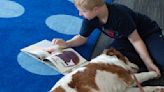 Kids buddy up with furry friends for reading