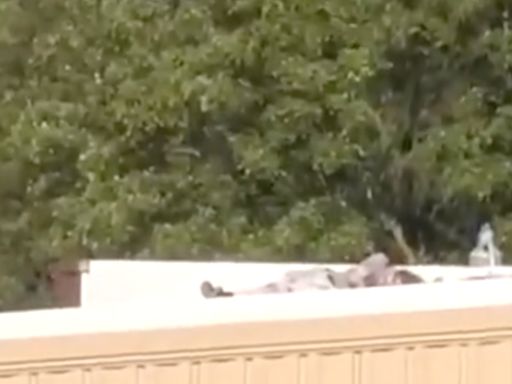 特朗普遇刺｜警員爬上屋頂曾對望疑兇 警：這10秒或改寫槍擊結局