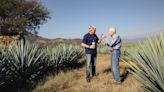3 agave spirits with Colorado ties that are worth a sip