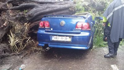 Así rescataron a bebé de un auto aplastado por un árbol en la colonia Nápoles